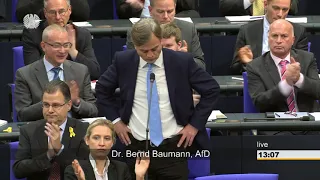 Bernd Baumann AFD zum Thema Bundeswehreinsatz in Mali MINUSMA  vom 22.11.2017