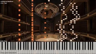 Beethoven/Liszt - Symphony 9 in D Minor Op 125 | Piano Synthesia | Library of Music