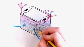 Basics of How a MonoTub Works - Understand Fruiting Conditions, Gas Exchange for Growing Mushrooms