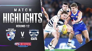 Western Bulldogs v Geelong Cats Highlights | Round 12, 2023 | AFL