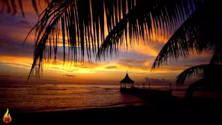 1 Hour Chill Out Reggae Island Music | Infest - Alific