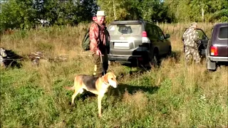 В гостях у Александра Серова.