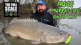 HUGE Murray Cod On The Cast | The Full Scale