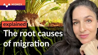 Root Causes of Migration Explained