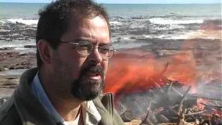 35 ton Southern Right Whale beached at Kommetjie Light House burning on beach - 2 Aug 2006