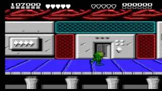 Battletoads & Double Dragon (RUS) NES level 1 & 2