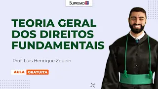 TEORIA GERAL DOS DIREITOS FUNDAMENTAIS | Prof. Luis Henrique Zouein