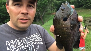 Catching HUGE Bluegill on EmmaLee's Birthday