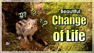 [FactPlus] Beautiful Change of Life | World Mission Society Church of God