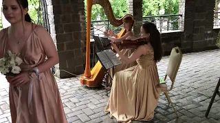 Skyrim cover live. Harp, violin, cello. Арфа и скрипка, струнный квартет на свадьбу. Арфистка.