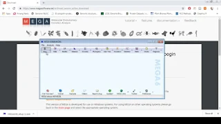 How to install MEGA software for multiple sequence alignment and phylogenetic analysis (Tutorial)