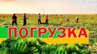 Погрузка 🍉 07 08 21