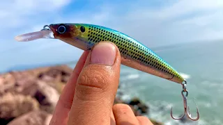 COMO pescar con MINNOW || JERKBAIT || MEDIA AGUA || pescando PARGOS de ORILLA || TIPS DE PESCA.