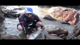 Catchin Cob / Kabeljou on Lures in the Transkei | ASFN Rock & Surf