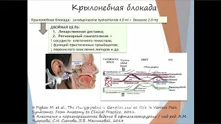 Аутоиммунные кератиты