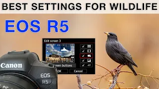 How I set up my R5 for bird photography - Complete guide
