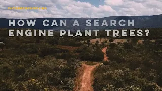 Ecosia - The Search Engine That Plants Trees With Every Click!?
