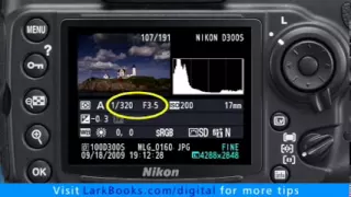 Nikon D300s: How to Use Exposure Compensation