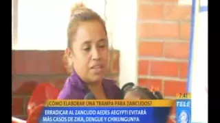 ¿Cómo elaborar una trampa para zancudos