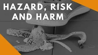 Hazard Risk and Harm: Definitions and Differences