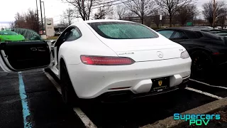 Mercedes-Benz AMG GT S Coupe Exhaust Startup and Revs