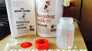Como preparar babydog milk de royal canin