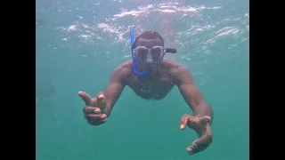 WASINI ISLAND & KISITE MPUNGUTI MARINE PARK  (Amazing and extended underwater footage!!)