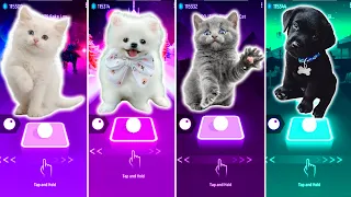 CUTE CAT BTS FAKE LOVE VS CUTE DOG BAD KARMA VS CUTE CAT JISOO FLOWER VS CUTE DOG AQUA BARBIE GIRL