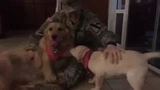 Soldier Surprises Dog & Gets Surprised With New Puppy