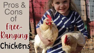 Pros and Cons of Free Ranging Chickens | Plus Kaitlyn Answers FAQ of Free Ranging Chickens