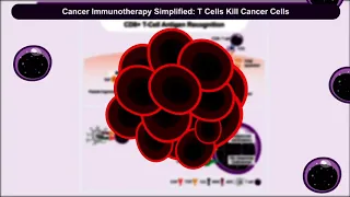 Deep Insight Into Immuno-Oncology: Immunotherapy Pathways, Targets, and Biomarkers