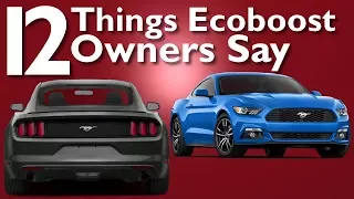 Things Ecoboost Mustang Owners Say