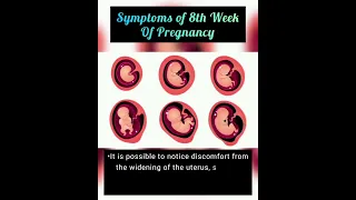 Symptoms of 8 Week Pregnancy.