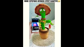 мне срочно нужен этот кактус!!!