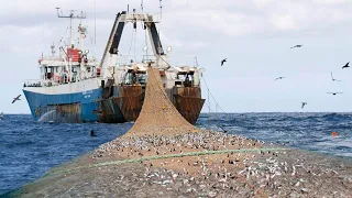 Amazing commercial fishing on the sea, Net Fishing, Catch Hundreds Tons Tuna on Boat #02