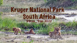 Kruger National Park - Self Driving Safari