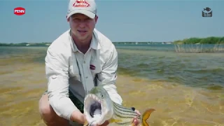 Targeting Tigers on Live Bait