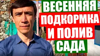 Подкормка и полив плодовых деревьев весной. Первая весенняя подкормка и полив сада.