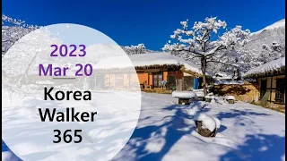 [4K] Korea Walker 365 "Anyang Small Stream Walking Route" in Anyang City of Korea