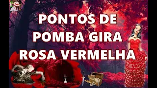 PONTOS DE POMBA GIRA ROSA VERMELHA COM LETRA