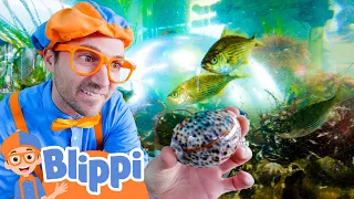 Learn About Sea Creatures and Fish With Blippi | 🔤 Moonbug Subtitles 🔤 | Learning Videos