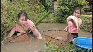 Fish in the mountains are caught and brought down the mountain to sell