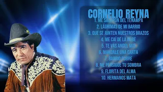 Cornelio Reyna-Hits that made an impact in 2024-Best of the Best Playlist-Serene