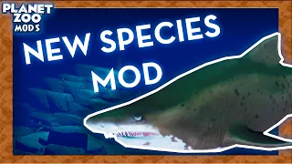 Creating the Sand Tiger Shark Mod - Planet Zoo New Species Mod