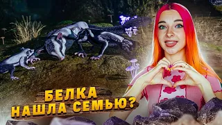 БЕЛКА НАШЛА СВОЮ СЕМЬЮ? ФИНАЛ ► AWAY: The Survival Series #4