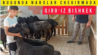 BUGUNGA NARXLAR CHEGIRMADA TAVSIYA QILAMAN