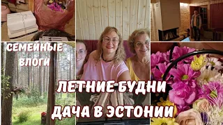 Дача в Эстонии.Жизнь семьи. Дачные будни.Уборка в доме.Что привез муж из Таллинна. Семейные влоги