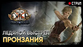 В поисках новых скарабеев 🏹 Ледяной выстрел пронзания - Ice shot 🏹 POE 3.24: Necropolis | Некрополь