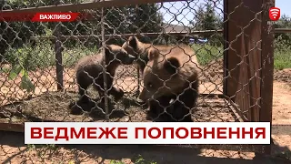 У Вінницькому зоопарку поповнення