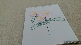 How to draw a prairie rose flower for kids!